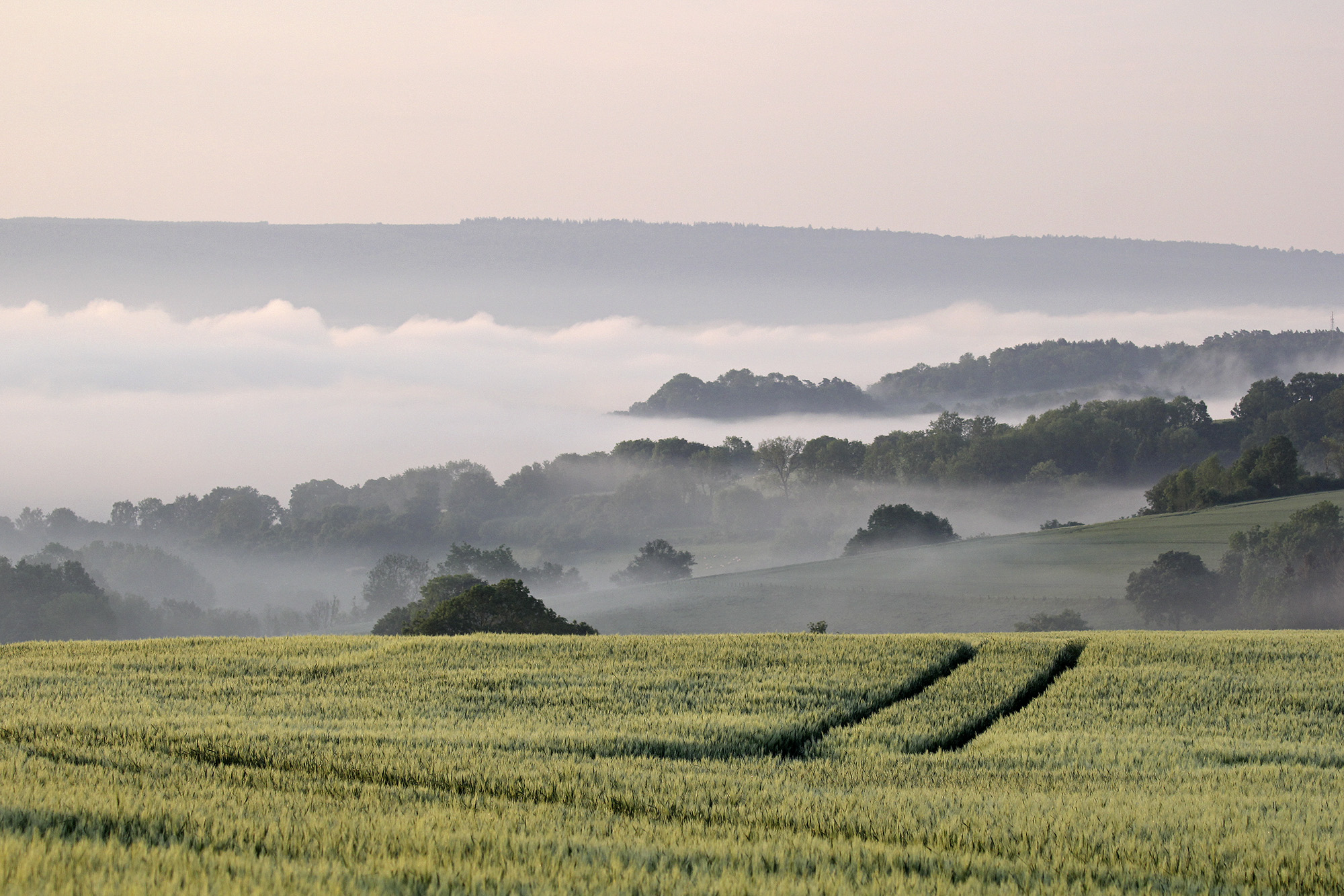 Morgenstimmung_Fürstenau